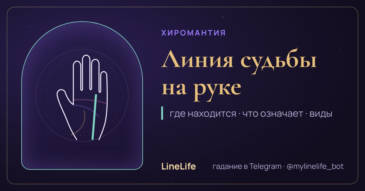 Линия судьбы на руке: значение, где находится, виды — иллюстрация LineLife