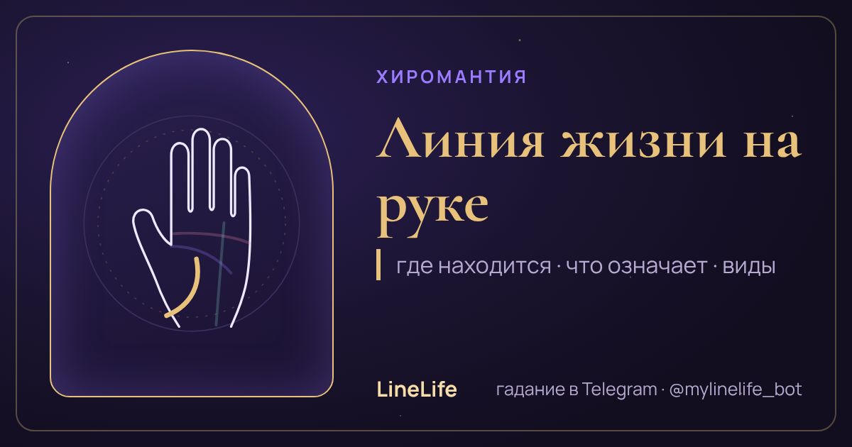 Линия жизни на руке: значение, где находится, виды — иллюстрация LineLife